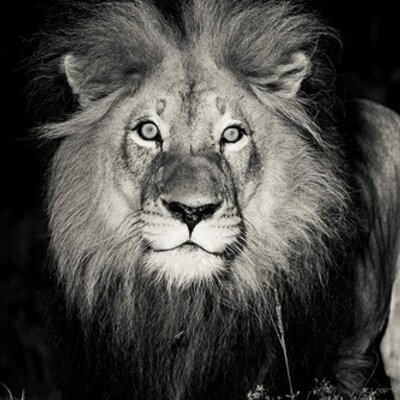 Profile Picture of Ben Carolan (@Bennyc8Ben) on Twitter