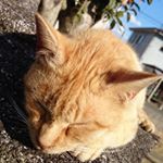 Profile Picture of 美浪(偽名) (@minami_ys59) on Instagram