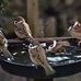 Profile Picture of Surendra Kulkarni (@surendra.kulkarni.712) on Facebook