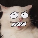 Profile Picture of Shawn Kaz (@Shawn-Kaz) on Facebook