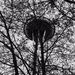 Profile Picture of James Scheidegger (@jwdiggerjr) on Pinterest