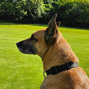 Profile Picture of Jonathan Fritsch (@jonathanfritsch1463) on Youtube