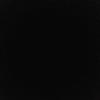 Profile Picture of Michael Etter (@biggoldenbear) on Tiktok