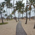 Profile Picture of Brad Boland (@boland.brad) on Instagram