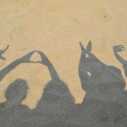 Profile Picture of Nancy Berglund (@NancyBerglund) on Twitter