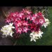 Profile Picture of Helen Salter (@helen.salter.777) on Facebook