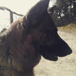 Profile Picture of Pierre Knittel (@bad_luncher) on Instagram