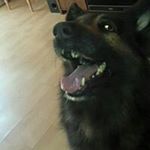 Profile Picture of Colin Meade (@meadecolin) on Instagram