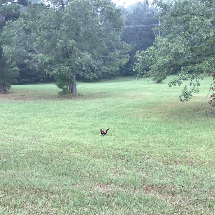 Profile Picture of joycegrayson575 (@joycegrayson575) on Tiktok