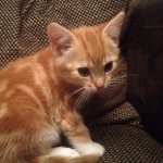 Profile Picture of Toni Mortimer (@toni_mortimer_) on Instagram