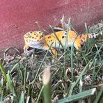 Alyssa Baltes - Facebook Profile Picture of Alyssa Baltes (@alyssa.baltes.3) on Facebook