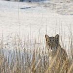 Profile Picture of Kristopher Barrios (@kristopherbarrios) on Instagram