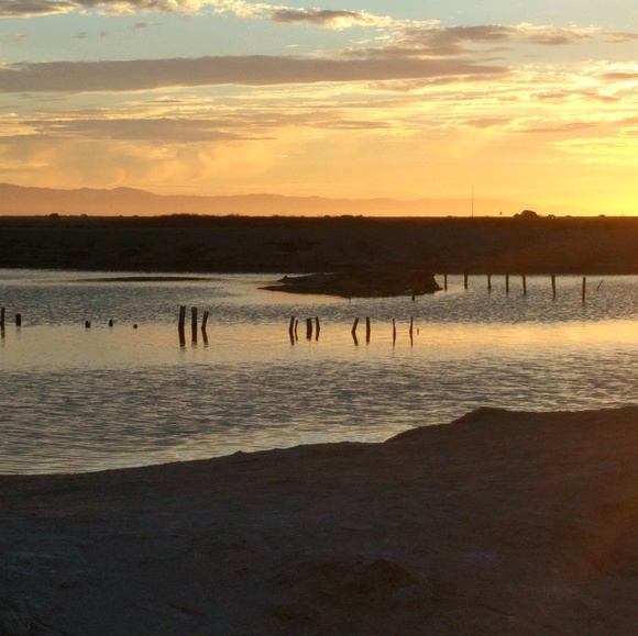 Profile Picture of Anna Brambilla (@annaemmet) on Poshmark