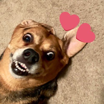 Profile Picture of April Campbell (@BldMeUpButtaCup) on Twitter