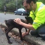 Profile Picture of Timothy Hughes (@mitkat) on Instagram