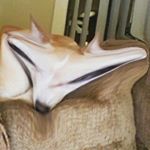 Profile Picture of Vaughn Richard Croxton (@vaughn.croxton7) on Instagram