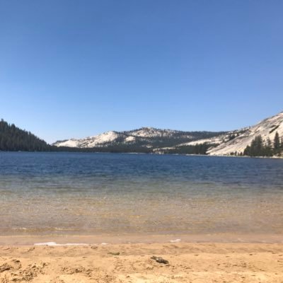 Profile Picture of Katie Critchley (@_TheRealSlimKT) on Twitter