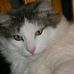 Profile Picture of Clare Graham (@clare.graham.1213) on Facebook