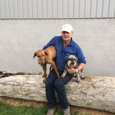 Profile Picture of Ben McBride (@thecurrie1) on Twitter