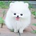 Profile Picture of Casey Simson (@casey.simson.1) on Facebook