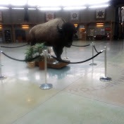 Profile Picture of Gregory Roberts (@gregoryroberts4020) on Youtube