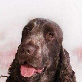 Profile Picture of Jonah Meyer (@jonah.meyer.39) on Facebook