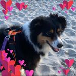 Profile Picture of Paula Whitley (@darkstormy720) on Instagram