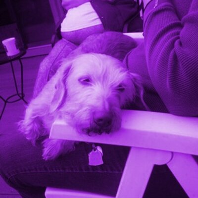 Amber St. Hilaire - Twitter Profile Picture of Amber St. Hilaire (@AmberLynnYHWH) on Twitter