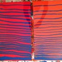 Profile Picture of Josh Rogers (@josh-rogers-11) on Quora