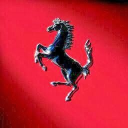 Profile Picture of Darryl Williams (@darryl5950) on Pinterest