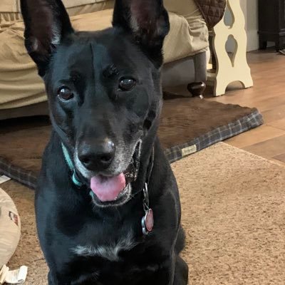 Marsha Paul - Twitter Profile Picture of Marsha Paul (@MarshaPaul19) on Twitter