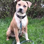 Profile Picture of Patrick Berger (@patrick.berger.543792) on Instagram