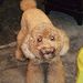 Profile Picture of weng fai ow yong (@owyongwengfai) on Pinterest