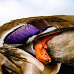 Profile Picture of Chad Huff (@teamtakem) on Instagram