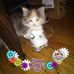Profile Picture of Jackie Dobbins (@jackie.dobbins.338) on Facebook