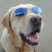 Profile Picture of Harvey Pitts (@harvey.pitts.56) on Facebook