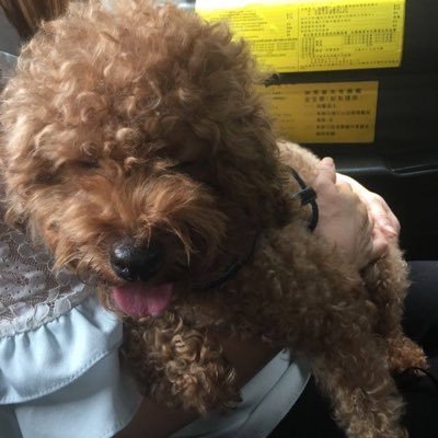 Profile Picture of SheldonNG (@SheldonNG5) on Twitter