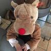 Profile Picture of Caroline Sturm (@@kcharlizek) on Tiktok