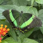 Profile Picture of Jackalyn Snelling (@jackalyn.snelling) on Facebook