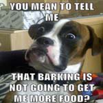 Profile Picture of Julian_Woods (@julian_woodsn) on Instagram