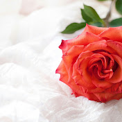 Silver Dreams - Youtube Profile Picture of Silver Dreams (@silverdreams9415) on Youtube