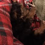 Profile Picture of George Okeeffe (@george.okeeffe.79) on Facebook