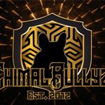 Profile Picture of carlos chimal (@chimalbullyz) on Instagram