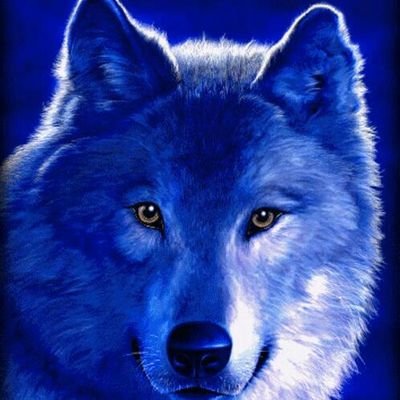 Profile Picture of Celine Ellsässer (@hanutamaus) on Twitter