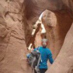 Profile Picture of Sandee Miller (@sandee_rae) on Instagram