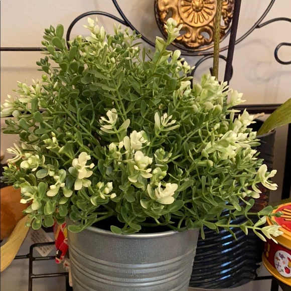 Profile Picture of Kelli Hunter (@kelliahunter) on Poshmark