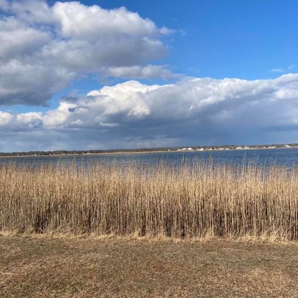 Profile Picture of Jennifer Stallone (@kcfinch) on Poshmark