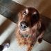 Profile Picture of James Unruh (@james.unruh.125) on Facebook