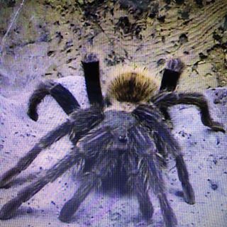 Profile Picture of Paul Paula (@thomas.nosel.90) on Facebook