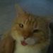 Profile Picture of Danny Simonds (@dannys0581) on Pinterest